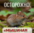 ️О клинике и профилактике геморрагической лихорадки. - Миякинский район