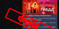 Псковская полиция опровергла недостоверную информацию о рейдах Госавтоинспекции - Псковская правда