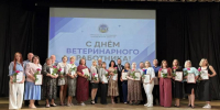 В Воронеже прошли мероприятия в честь Дня ветеринарного работника - РИА Воронеж