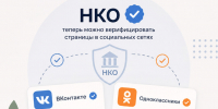 НКО Ленинградской области смогут верифицировать свои страницы в соцсетях через «Госуслуги» - Комитет общественных коммуникаций