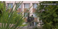 Сегодня Красногвардейский округ празднует 98-ю годовщину со дня образования. - Красногвардейский район