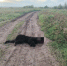 Yc8q2cSBXLs90bKJFf-JCMIeTGjfskjqpgCX6KfIh65itNMjx5OoJFrN2jtvrgMAoi7YA2yNES4zNsvYXHusRAcC.jpg - Киренский район