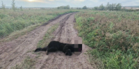 Yc8q2cSBXLs90bKJFf-JCMIeTGjfskjqpgCX6KfIh65itNMjx5OoJFrN2jtvrgMAoi7YA2yNES4zNsvYXHusRAcC.jpg - Киренский район
