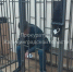 Жителя Правдинского района, который украл банковскую карту у покойника, отправили в колонию - Комсомольская правда
