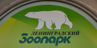 Ленинградский зоопарк меняет график работы - Петербургский дневник
