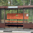 Новая остановка появилась на Бору? - Tvoy-Bor.Ru