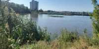 Правоохранители разбираются в обстоятельствах утопления женщины в саратовском пруду - ИА Версия-Саратов