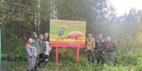 Сохраним лес - Новый Компаньон