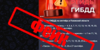 Фейковая информация о рейдах Госавтоинспекции распространяется в Псковской области - Комсомольская правда