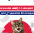 Важная информация для студентов Колледжа! - Технологический университет