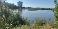 На окраине Саратова в пруду утонула женщина - ИА Взгляд-инфо