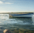Погиб чемпион мира по гребле на байдарках - РТВ-Подмосковье