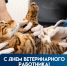 Уважаемые ветераны и сотрудники ветеринарной службы Клетского муниципального района! - Газета Дон
