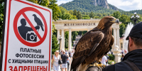 В Железноводске запретили платные фотосессии с хищными птицами в туристических местах - Эльбрус.Пресс