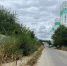 Жители Юбилейного жалуются на заросшую пешеходную дорожку до школы и детсада - Четвертая Власть