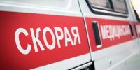 В Кировской области животновод умер во время отгрузки скота - Newsler.Ru