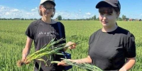 Студенты калининградского филиала СПбГАУ исследовали почву и растения в регионе - KaliningradToday.Ru