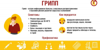 Роспотребнадзор напоминает о мерах профилактики гриппа - Тульское музейное объединение