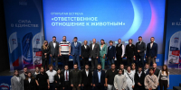 В День ветеринарного работника в столице обсудили ответственное отношение к животным - Единая Россия