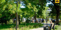 Информация о качестве атмосферного воздуха в городе Новороссийске за период наблюдений 28 – 29 августа - Город-герой Новороcсийск