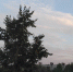 © Фото из архива интернет-портала «Новгород.ру» - Novgorod.Ru