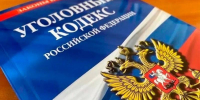 В Москве задержан юноша, обманувший мать погибшего бойца СВО из Калмыкии на 2,3 млн рублей - РИА Калмыкия