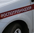 Фото: alleks19760526/Shutterstock/Fotodom - Ямал-Медиа