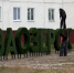 Юным жителям Заозёрска пригрозили «административкой» за порчу топиариев - SeverPost.ru
