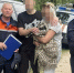 В Подмосковье спасатели помогли застрявшим на сосне мужчине и его коту - M24.Ru