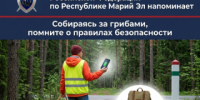 Следственное управление Следственного комитета Российской Федерации по Республике Марий Эл напоминает о правилах безопасности в лесу - Следственный комитет