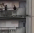Петербуржцы пожаловались на подростков, сбрасывающих велосипеды с 14-го этажа - Spbdnevnik.ru