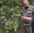 Жителя Дзержинска отправят в тюрьму на 20 лет за жестокое убийство женщины в лесополосе - ProGorodNN.Ru