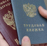 fffn7eunwg6h7x4we0f18howwowd9319.jpeg - Primorye24.Ru