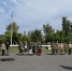«Зарница» в Славгороде: военно‑патриотическая игра объединила команды четырёх территорий - Минсоцзащиты Алтайского края
