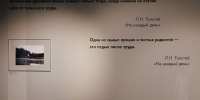 Праправнук Льва Толстого открыл выставку «Четыре упряжки Льва Толстого» во Владивостоке - Администрация г. Владивостока