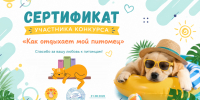 Объявлены победители онлайн-конкурса фотографий «Как отдыхает мой питомец» - ЦБС Вилючинска