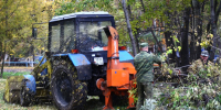 Пермский край поставил в регионы России более 26 тысяч тонн древесной щепы - Комсомольская Правда