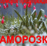 ШТОРМОВОЕ ПРЕДУПРЕЖДЕНИЕ №6 - Администрация г. Рубцовск