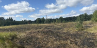 Ландшафтный пожар произошел в деревне в Удмуртии - Комсомольская Правда