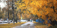 В Прикамье до конца недели потеплеет до +26 градусов - Bb59.Ru