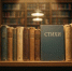 полка с книгами - Петрозаводск говорит