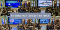 Мероприятие «Загадочные киты» - Краеведческий музей