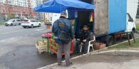 Нелегальную торговлю арбузами пресекли в Красносельском районе - Санкт-Петербург.ру