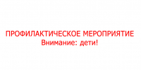 ПРОФИЛАКТИЧЕСКОЕ МЕРОПРИЯТИЕ - Народное слово
