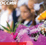 С Днём знаний! - Справедливая Россия