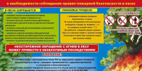 Аткарчанам напоминают правила пожарной безопасности в лесу - Газета Аткарская газета