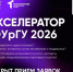 Южно-Уральский государственный университет запускает «Акселератор ЮУрГУ 2026»: от идеи до инвестиций за три месяца - КП Челябинск