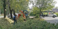 Спил веток, покос травы, уборка города – 1 сентября - Город Ковров