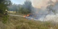 В Цимлянском районе спустя трое суток потушили крупный лесной пожар - DonDay.Ru