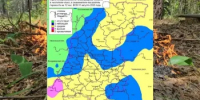 Сводка пожароопасности на 31.08.2026 - Министерство лесного хозяйства